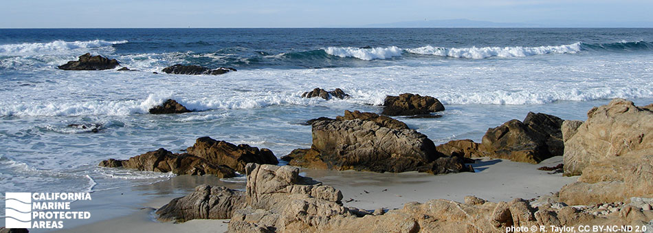 rocky shore with waves rolling in